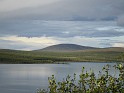kesä 2011 313